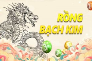 Những Bí Quyết Từ Dữ Liệu Soi Cầu Rồng Bạch Kim