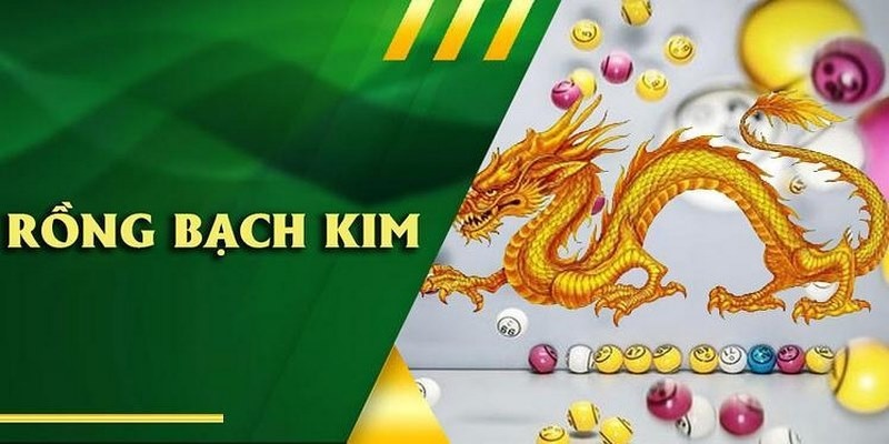 Chiến Lược Quản Lý Vốn và Rủi Ro Trong Soi Cầu Rồng Bạch Kim
