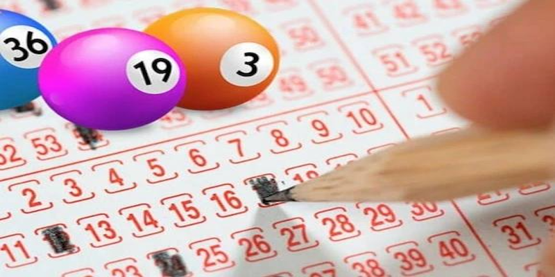Quy Luật và Các Yếu Tố Ảnh Hưởng
